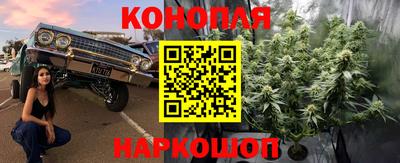 спайс Коммунар