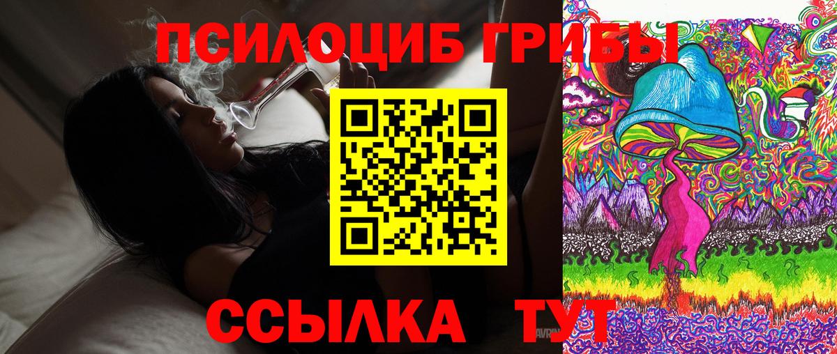 Галлюциногенные грибы мицелий  Галлюциногенные грибы GOLDEN TEACHER  Ковров  где можно купить   Вход с VPN 