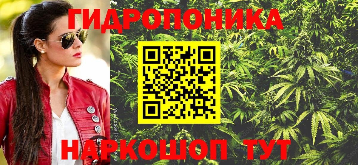A PVP Ковров
